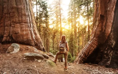 Perspectives: Outlook for 2024