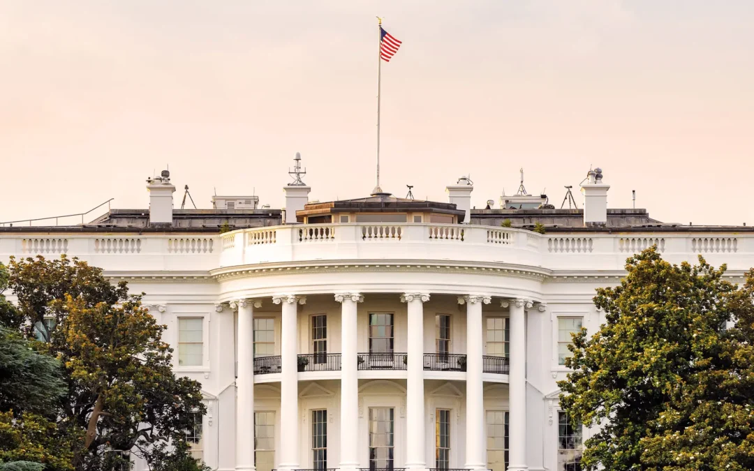 Perspectives: The Next Four Years