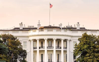 Perspectives: The Next Four Years